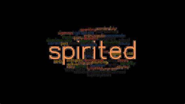 SPIRITED Synonyms and Related Words. What is Another Word for SPIRITED