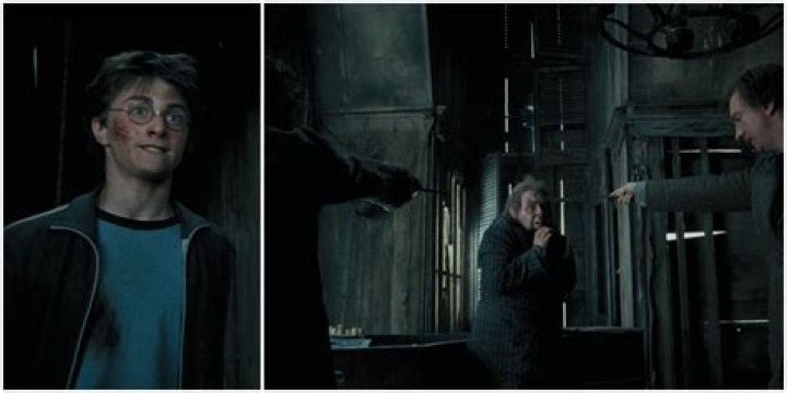 Split image of Harry Potter plants including a mandrake and whomping willow