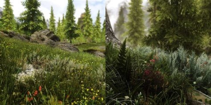Split image of the Tamrielic Grass mod in Skyrim