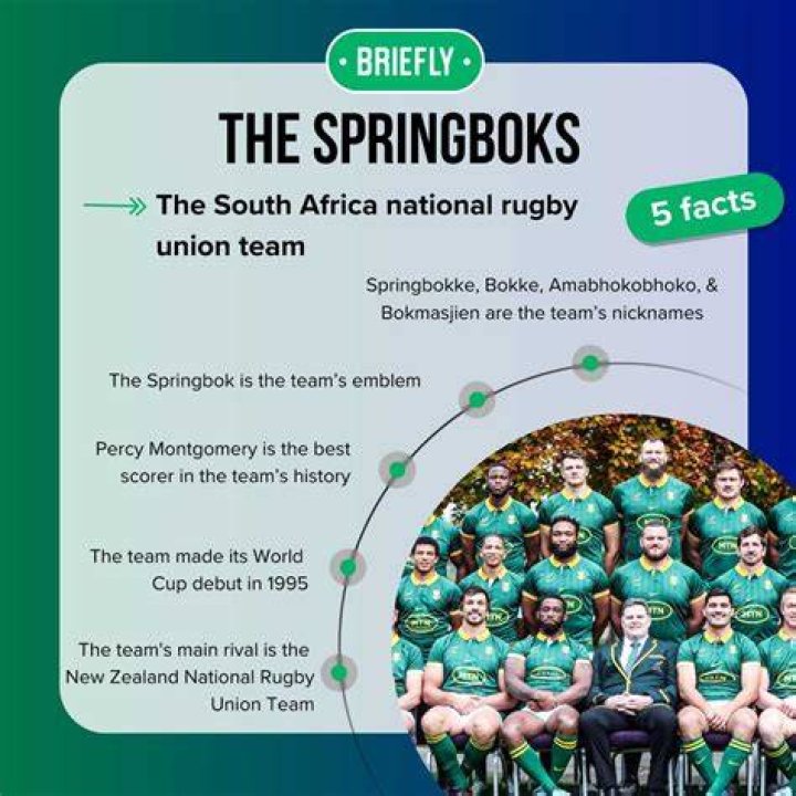 Springbok salary