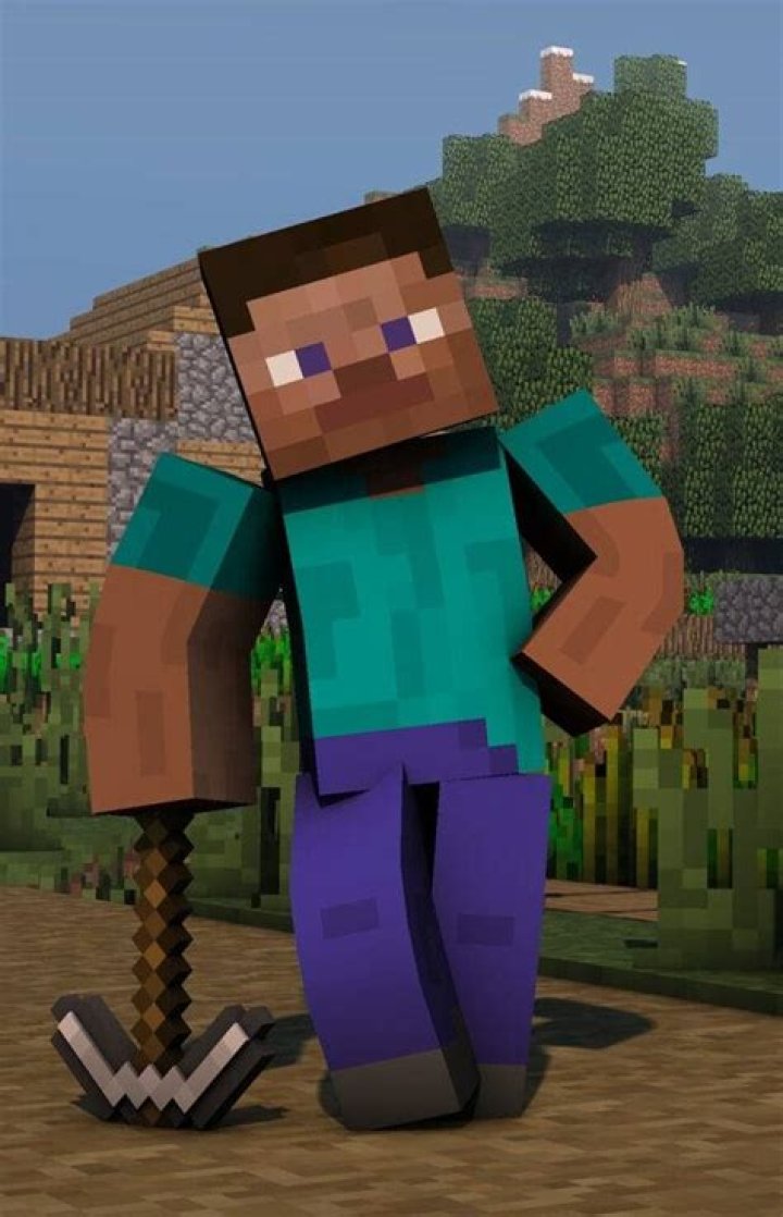 Steve (Minecraft) Photo on myCast