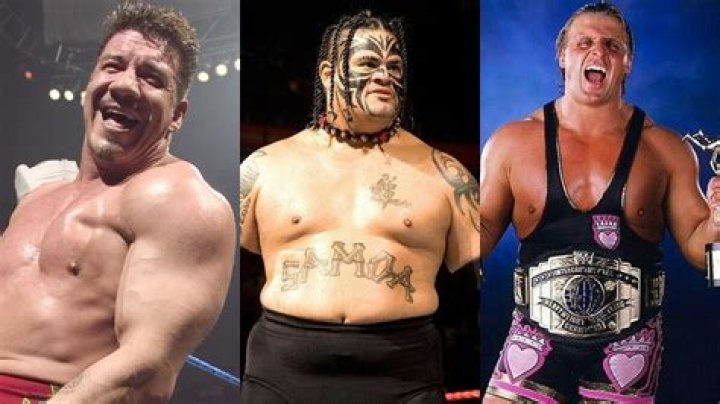 Sting & 9 Other Wrestlers Who Have Worked For 4 Or More Promotions