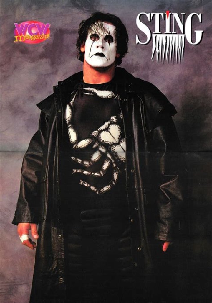 Sting in WCW