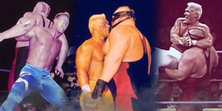 Sting Vs. Big Van Vader