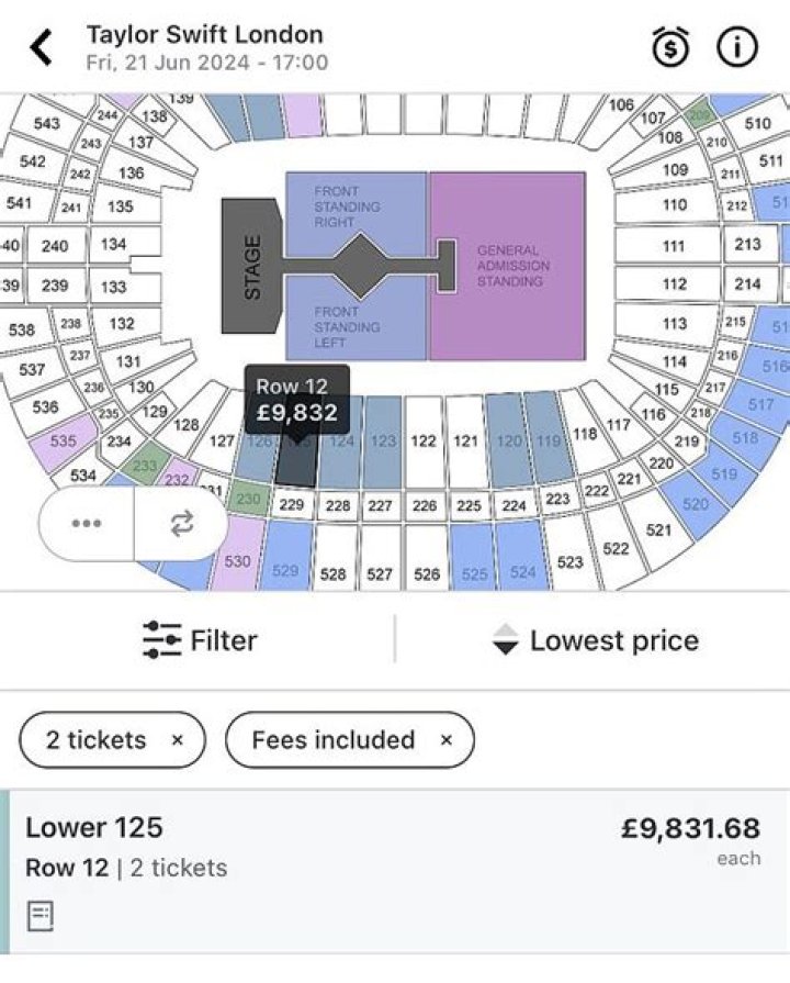 Stubhub Taylor Swift Tickets Kirby Merrily