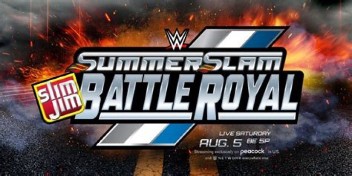 summerslam battle royal graphic