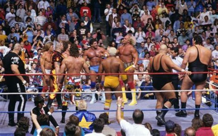 Survivor Series 1987: Team Hogan