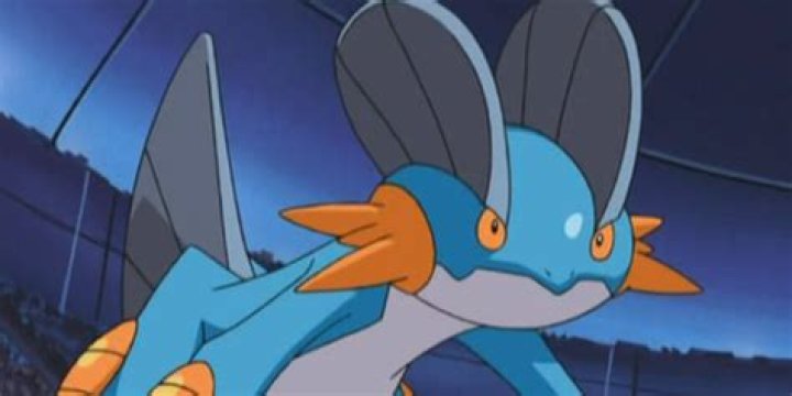 Swampert crouches ready to pound in the Pok&eacute;mon anime.