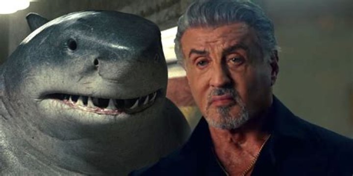Sylvester Stallone and King Shark