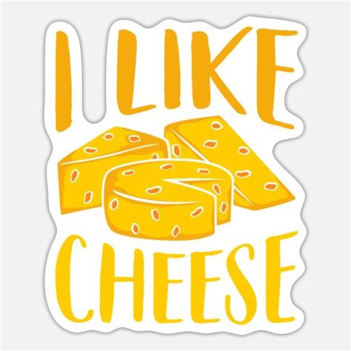 Take It Cheesy Funny Cheese Pun Digital Art by DogBoo Fine Art America