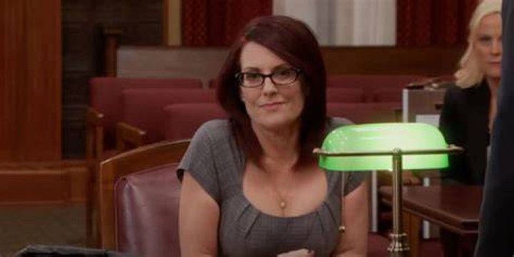 Tammy II testifying against Leslie on Parks and Rec