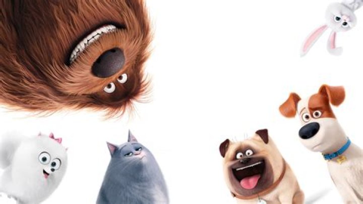 Tattoo the Pig Fan Casting for The Secret Life of Pets | myCast