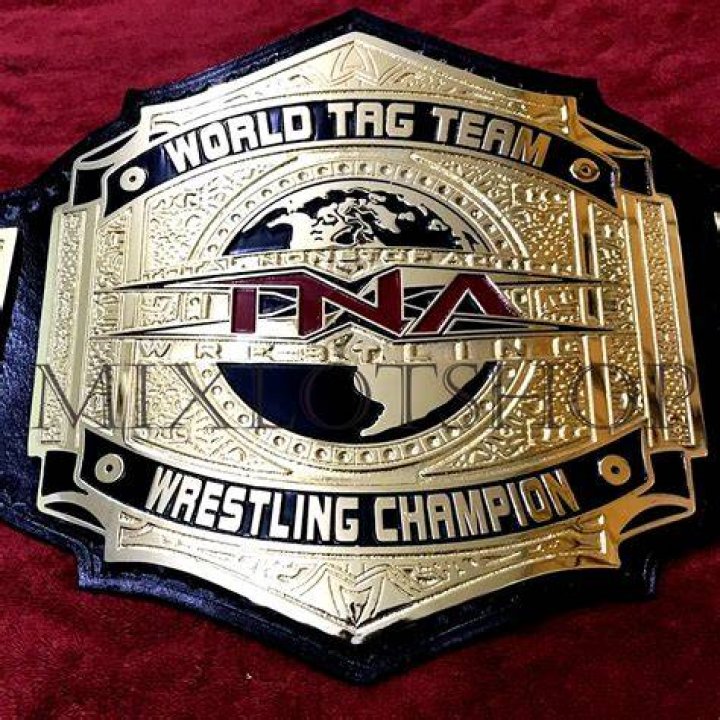 Team Pacman TNA Tag Team Champions