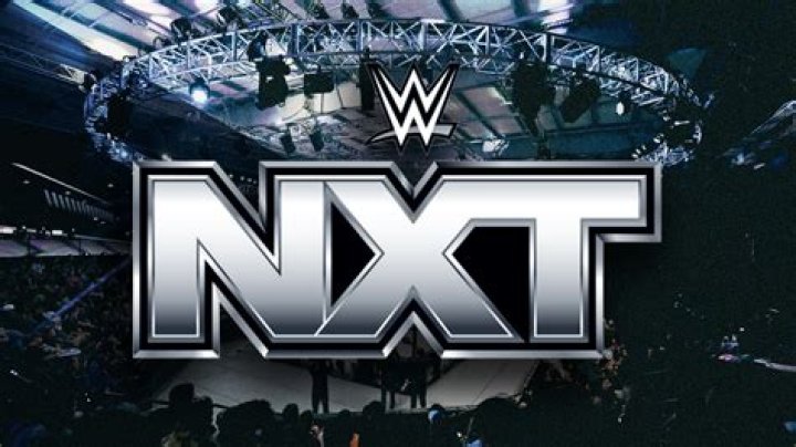 The 5 Best (& 5 Worst) Pros From NXT's Game Show Days