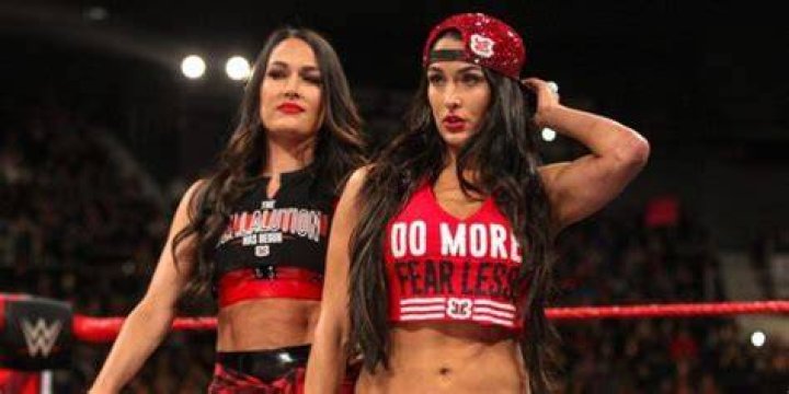 The Bella Twins in WWE