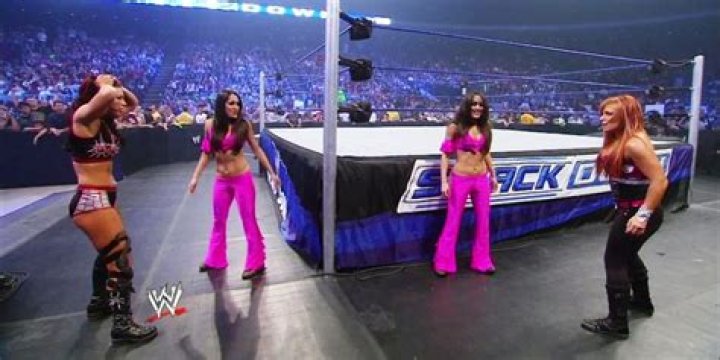The Bella Twins main roster debut