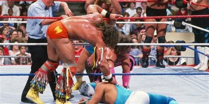 The Blue Blazer Injured Survivor Series 1988 
