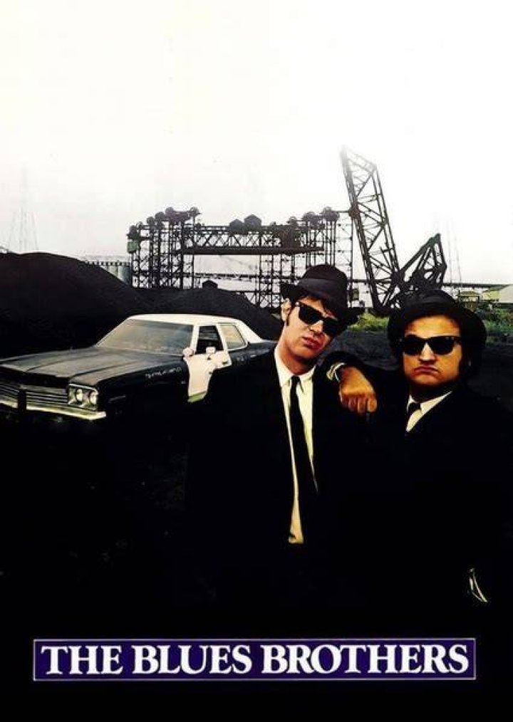 The Blues Brothers 1980 Remake Fan Casting on myCast
