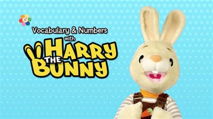 the bunny