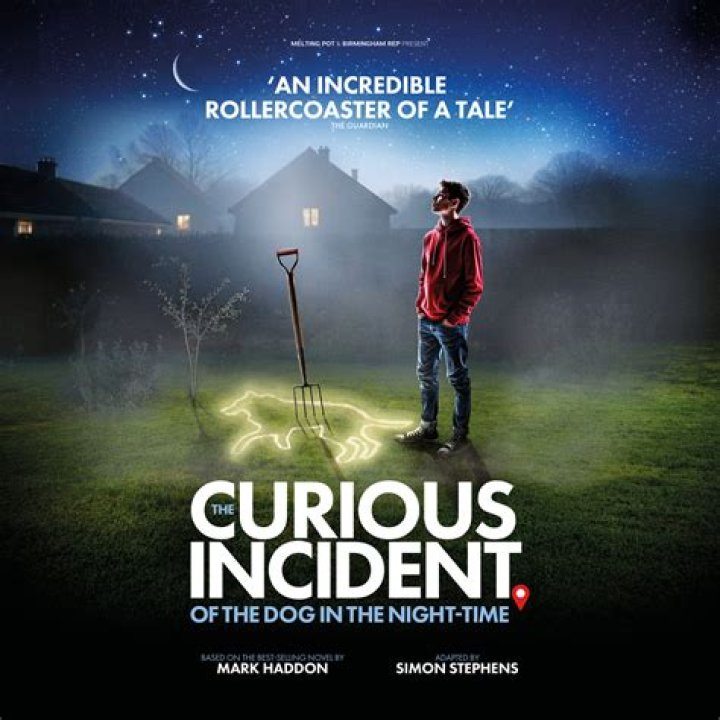 The Curious Incident of the Dog in the Night-Time
