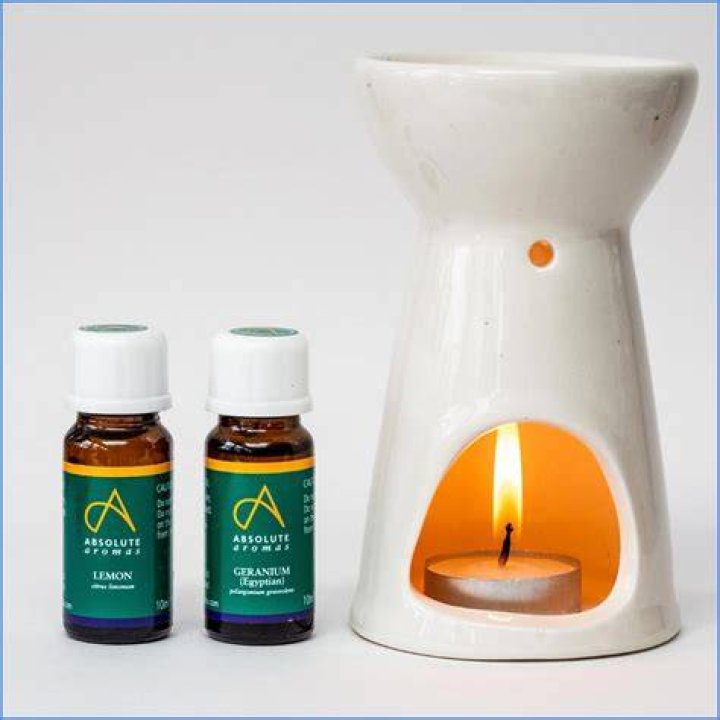 The essential oil burner. Photo / Goop