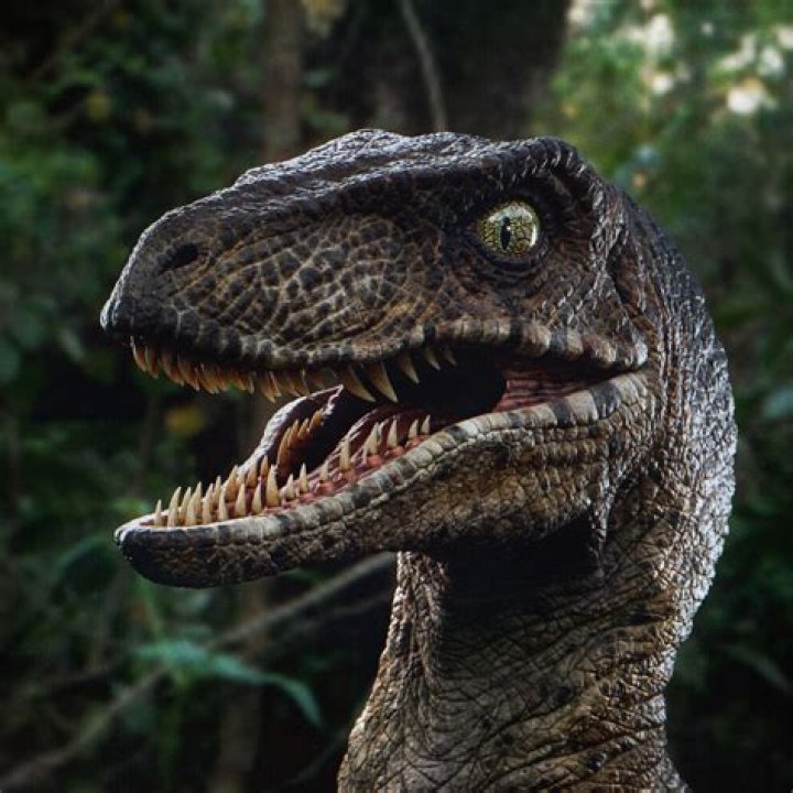 The female raptor approaching the humans in Jurassic Park III
