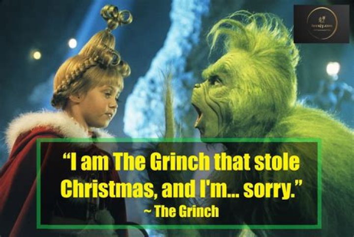 The Grinch looks sadly at his reflection