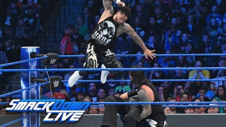 The Hardy Boyz SmackDown Tag Team Champions Cropped