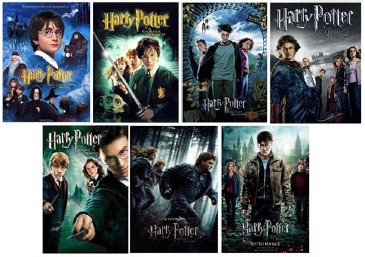 the HARRY POTTER saga