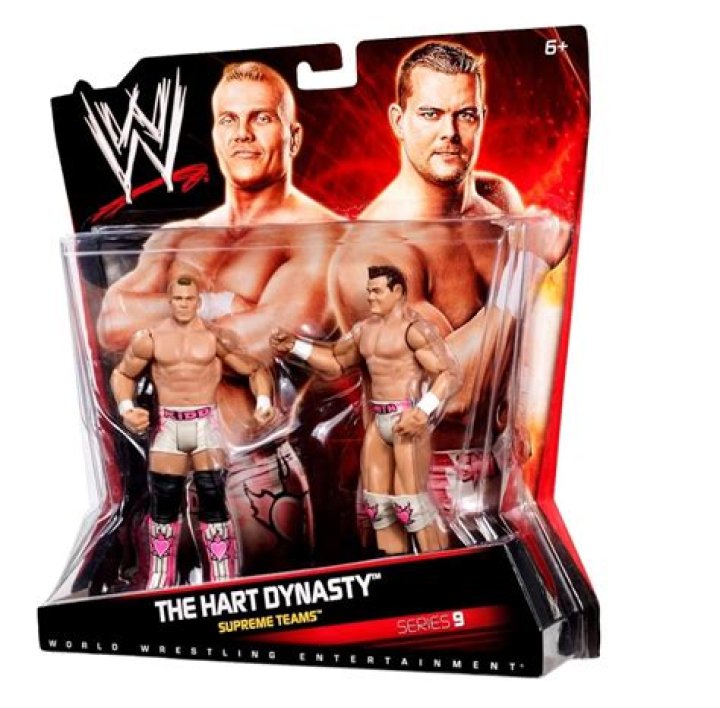 The Hart Dynasty v Tamina & The Usos Fatal-4 Way 2010 Cropped