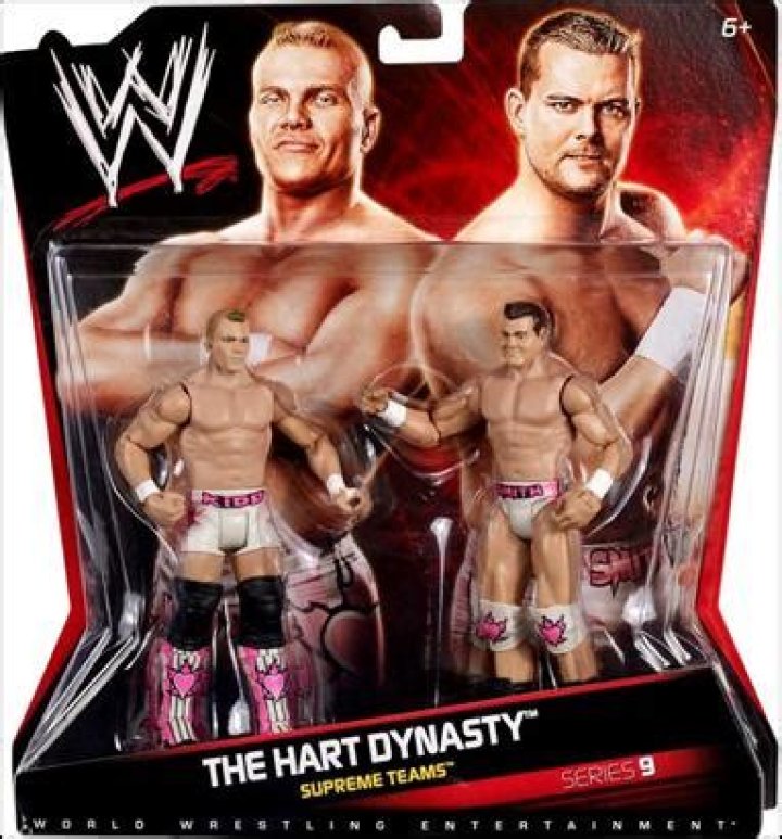 The Hart Dynasty WWE