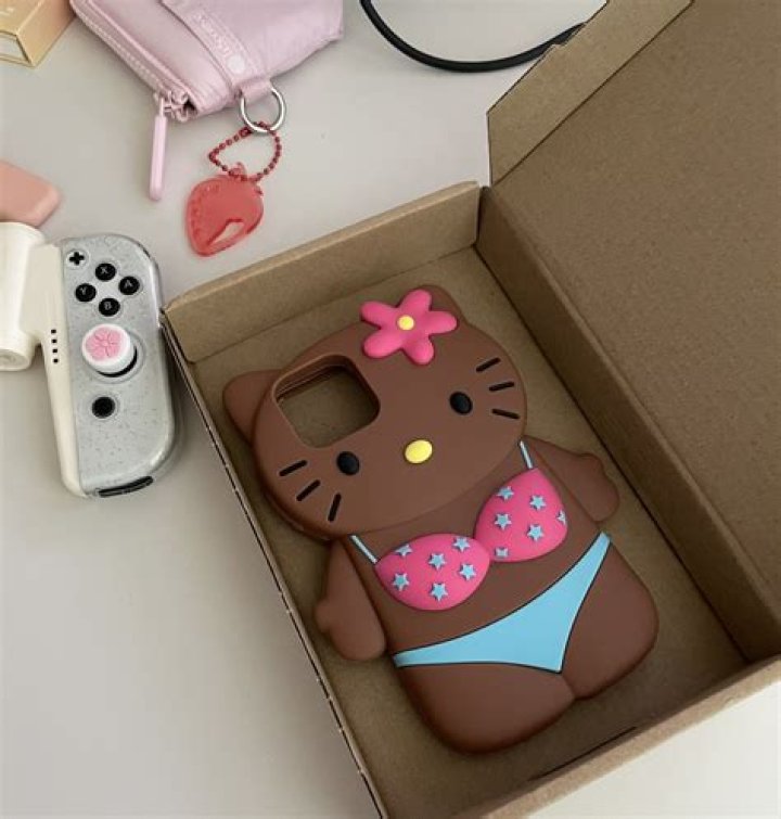 The Hello Kitty Case The Hello Kitty Case