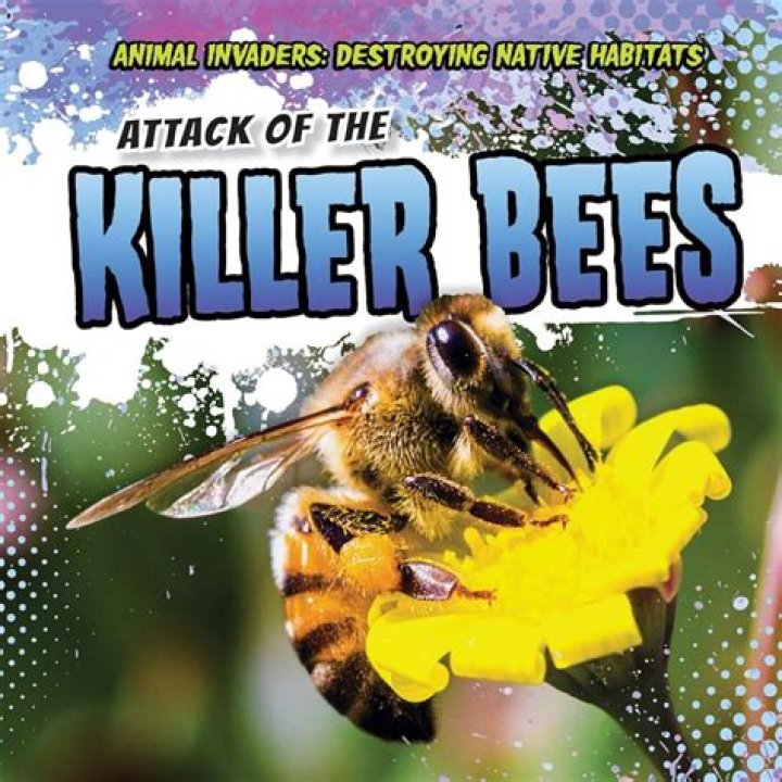 The Killer Bees vs. the Iron Sheik and Nikolai Volkoff at WrestleMania 3