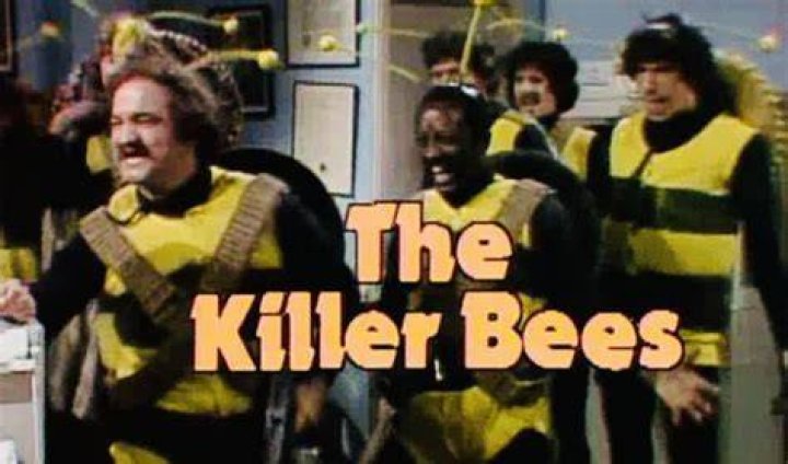 The Killer Bees