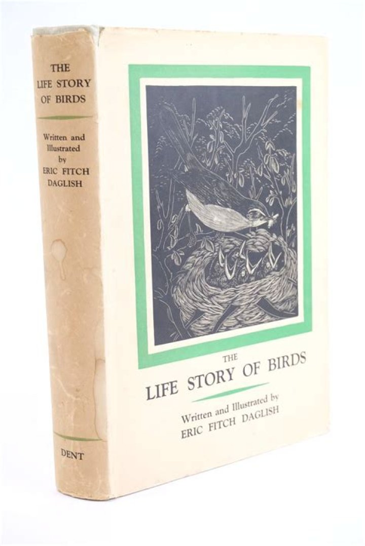 The life story of Budd Dwyey