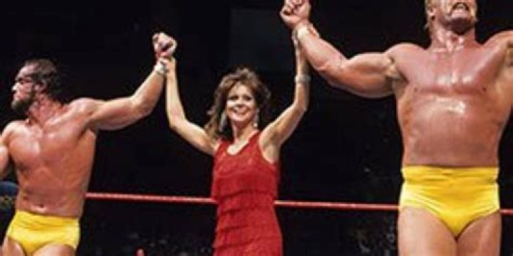 The Mega Powers Survivor Series 1988 