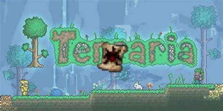 The Papyrus Scarab against a Terraria background