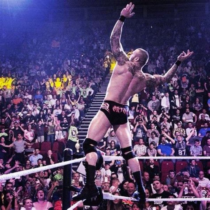 The Randy Orton Pose & 9 Other Things All Wrestling Fans Do