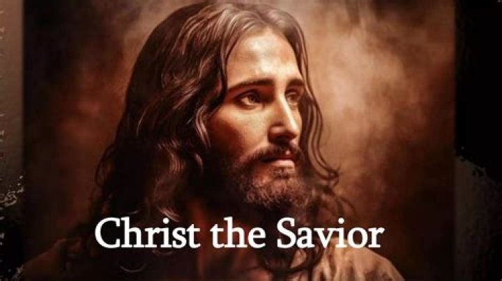 The Savior's Series