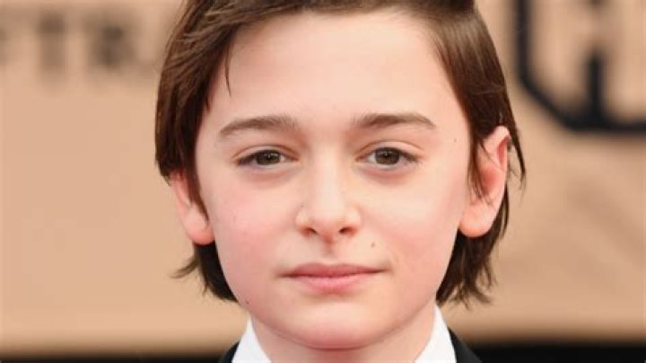 The Stunning Transformation Of Noah Schnapp