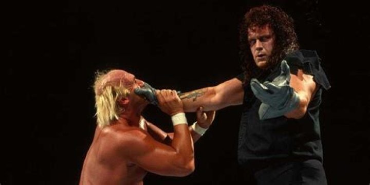 The Undertaker v Hulk Hogan Survivor Series 1991 Cropped