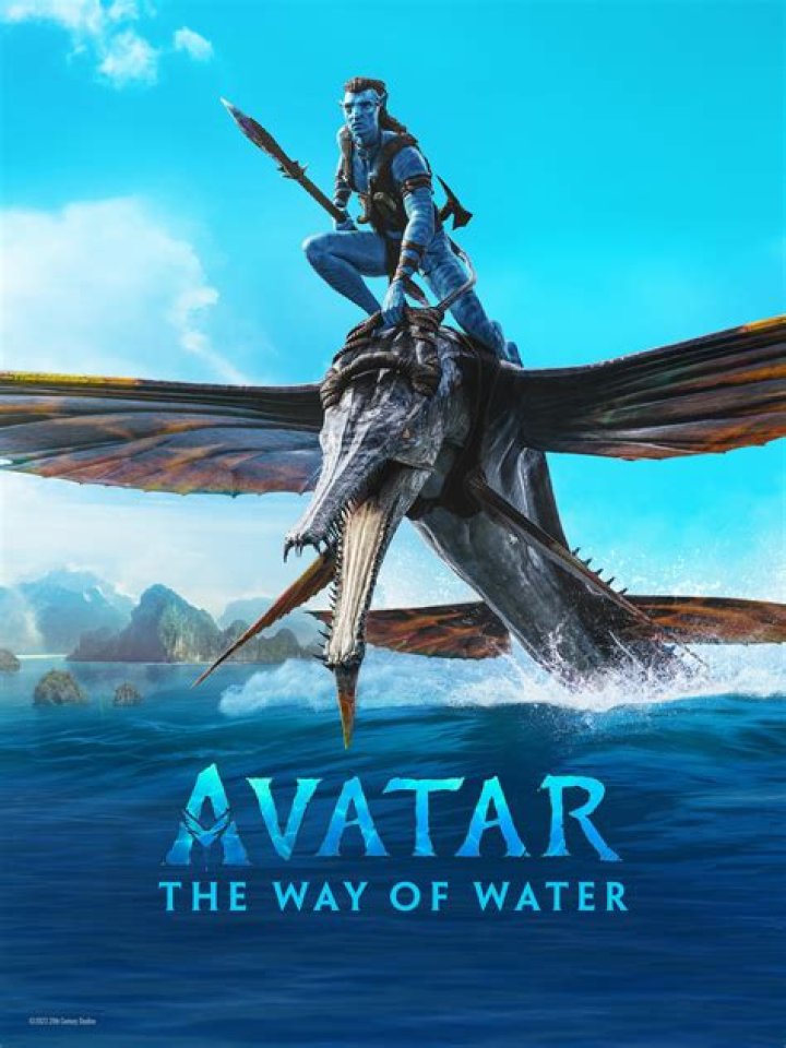 The Way of Water (1992) on myCast