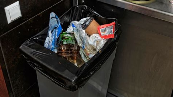 These Easy DIY Deodorizers Will Save Your House From Garbage Can Smells