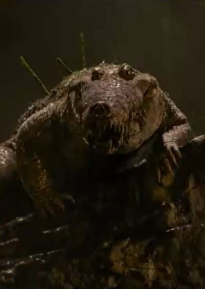 Tick-Tock the Crocodile (2023) Fan Casting
