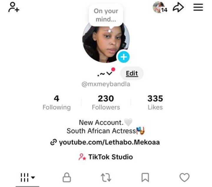 TikTok user @lethabo.mekoaa shared a video of her trying to record a dance challenge and her gogo getting in the way