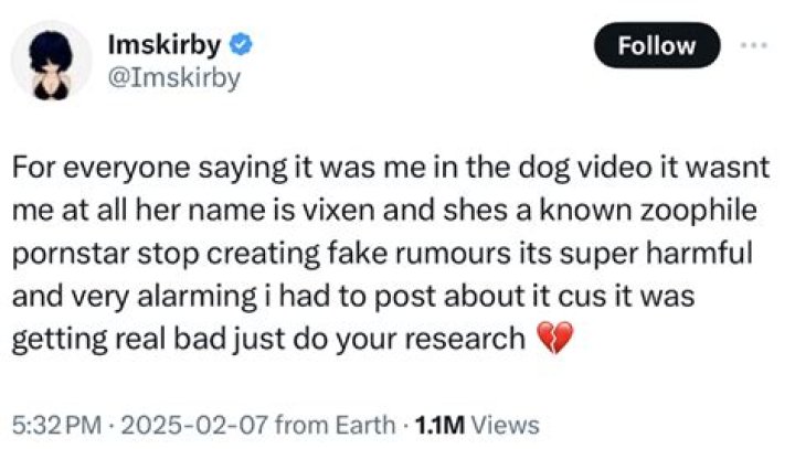 TikTok Viral Skirby Dog Video