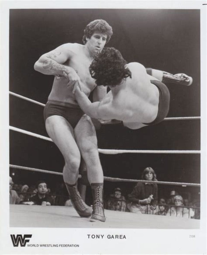 Tony Garea & Pat Patterson