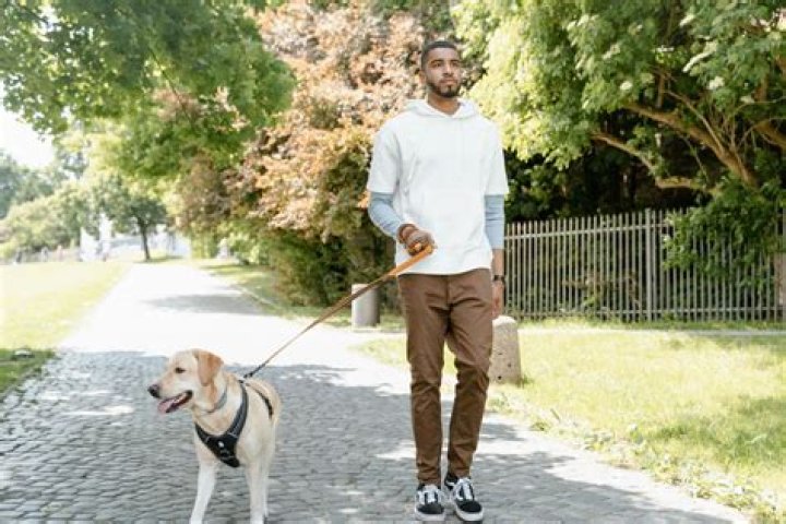 Tracker and his dog on Monbijou Bridge in Berlin in John Wick Chapter 4