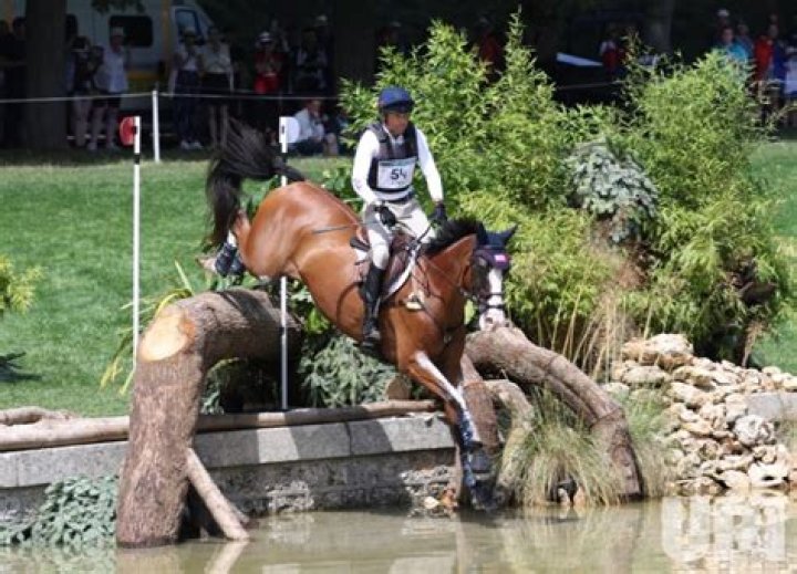 Tragic Loss Grips American Equestrian Community as Cross-Country Claims Life of
Equine