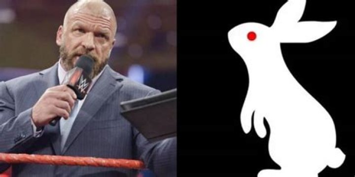 Triple H White Rabbit